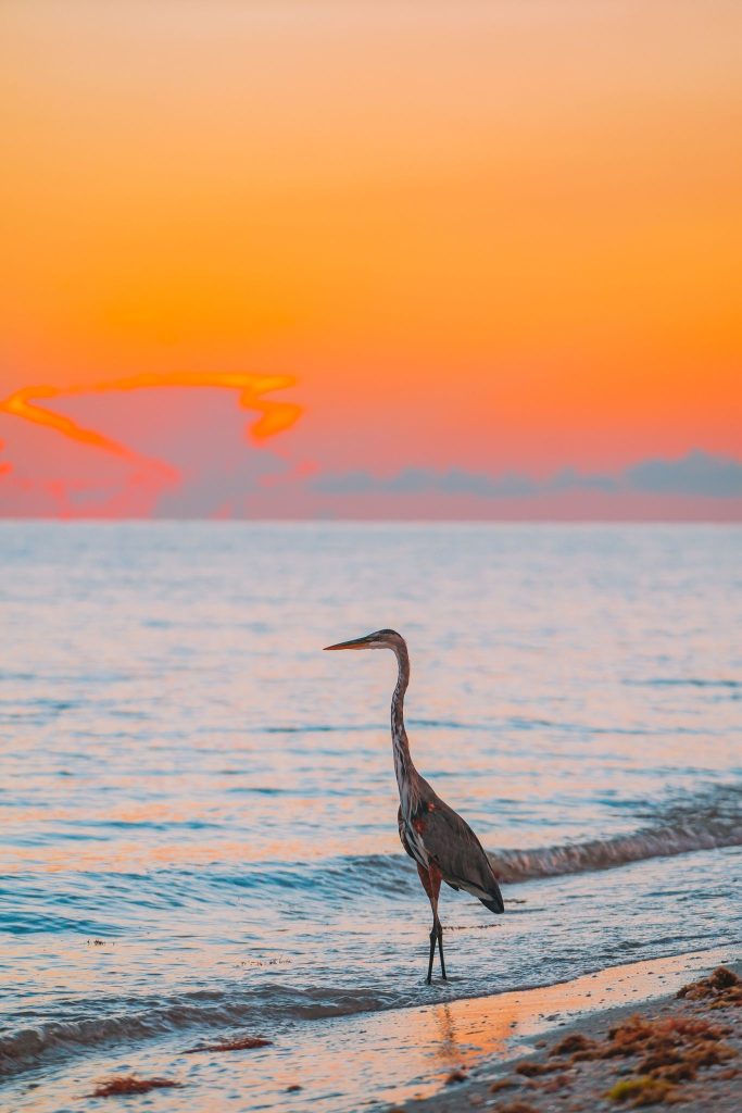 Sanibel Island