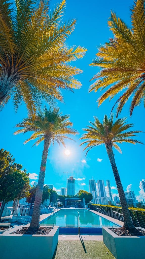 Sentral Wynwood Miami