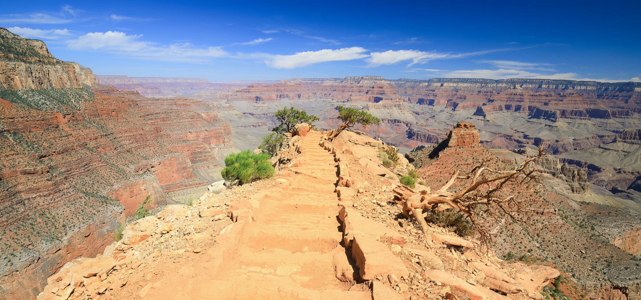 Cedar Ridge au Grand Canyon