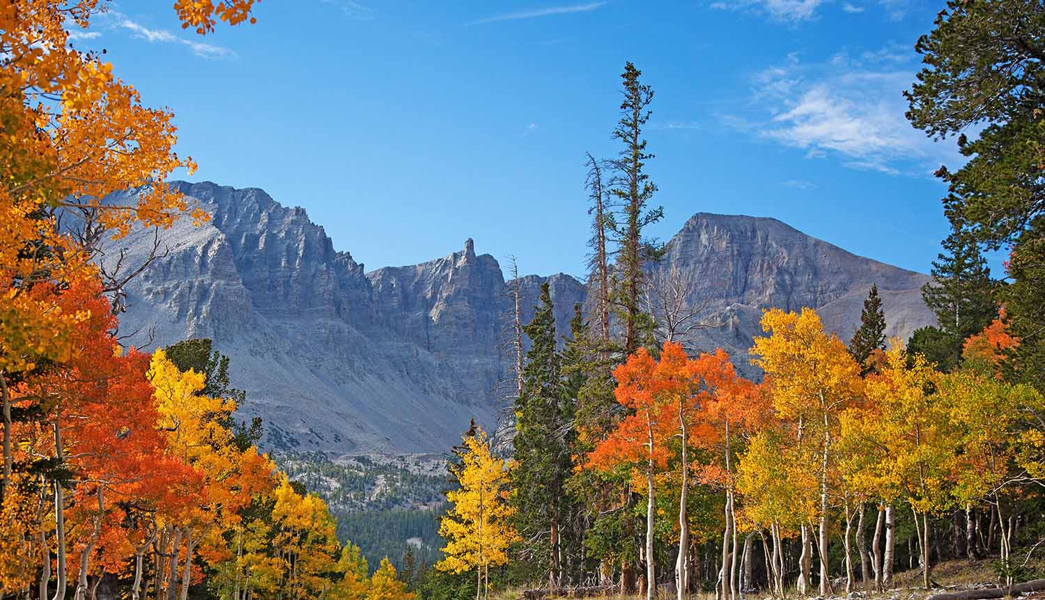 Montagnes de Great Basin National Park